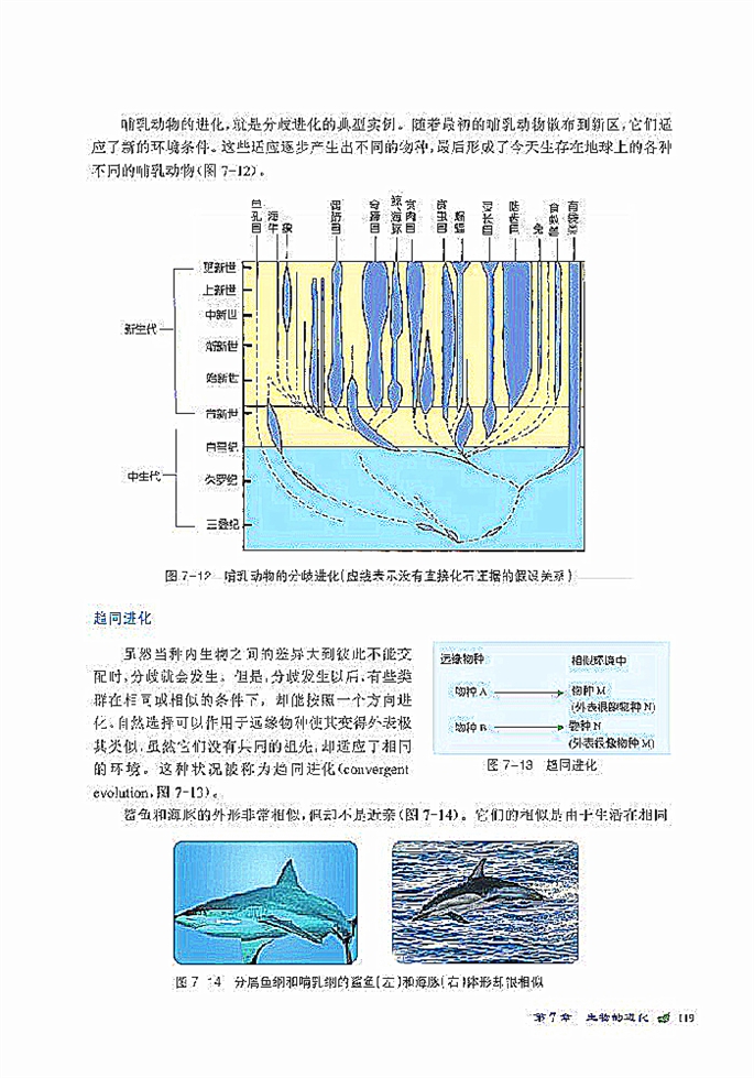 物种进化与生物多样性的形成(4)