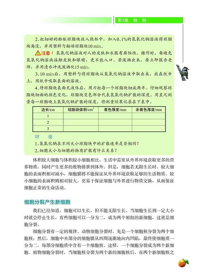 细胞通过分裂而增殖(3)