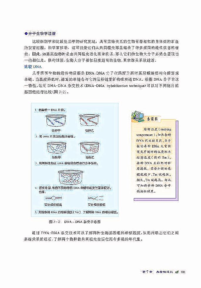 生物进化的证据(2)