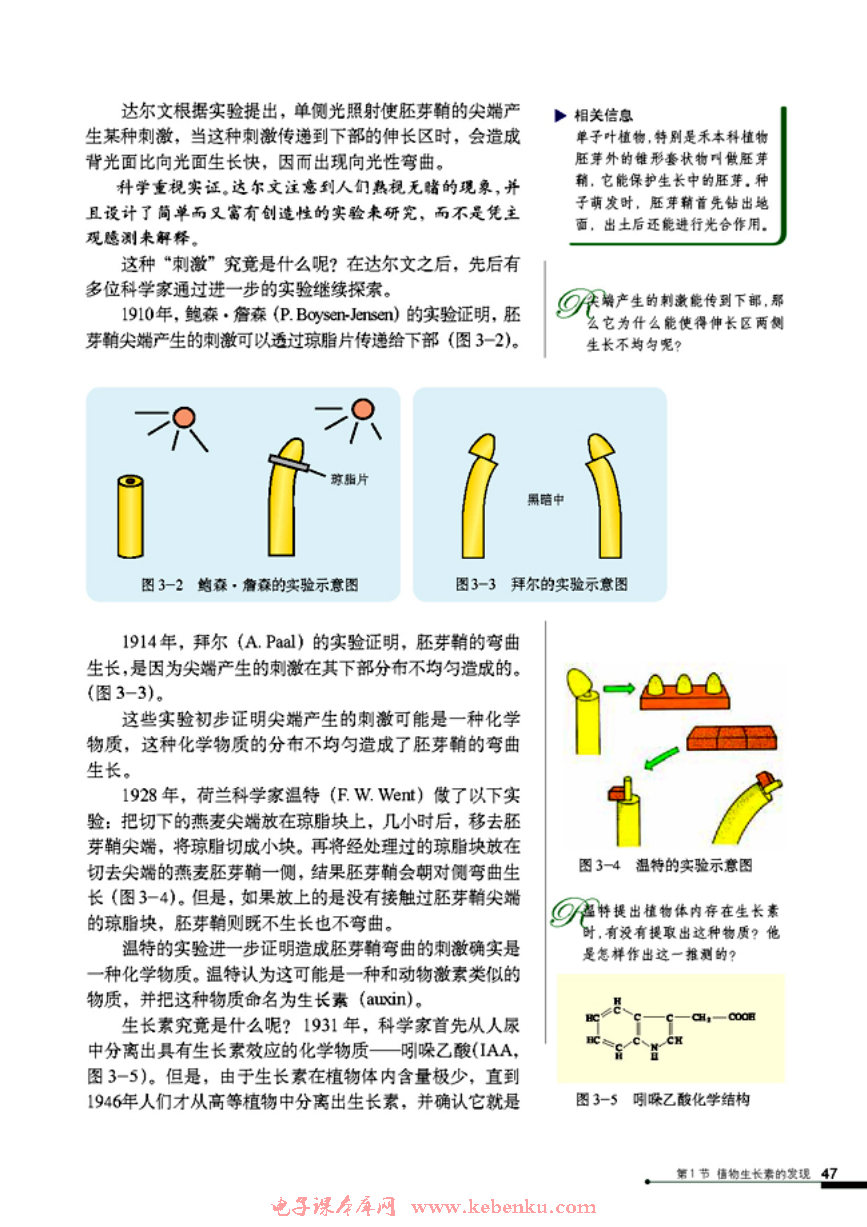 第1节 植物生长素的发现(2)