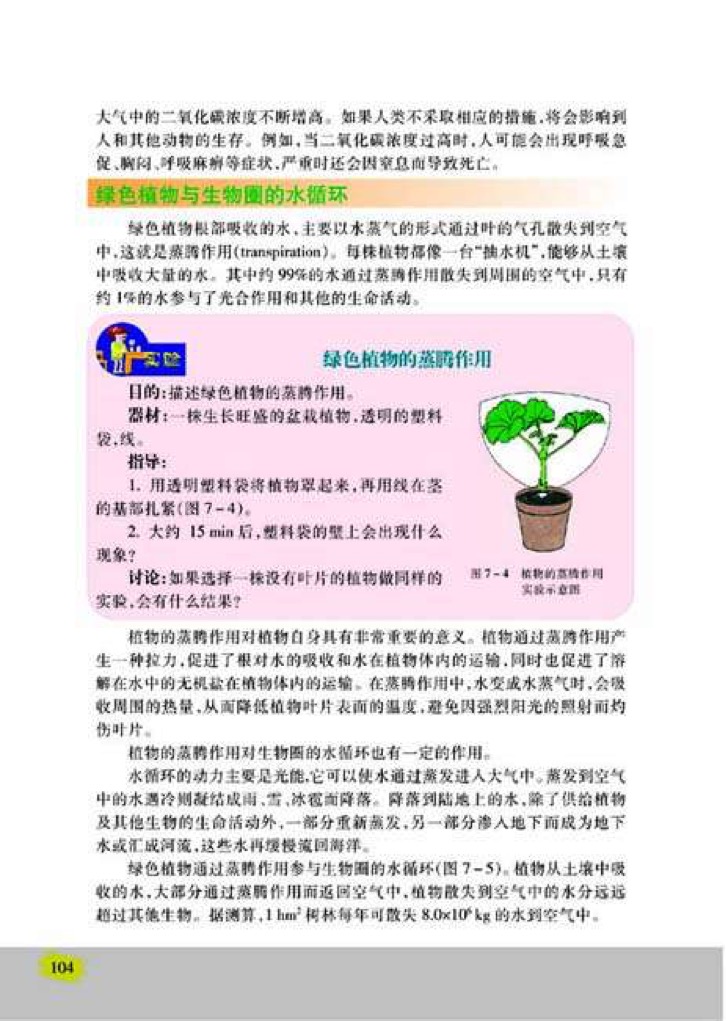 「2」、绿色植物与生物圈的物质循环(2)