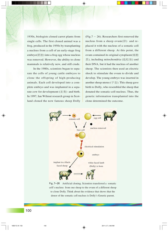 克隆技术(6)