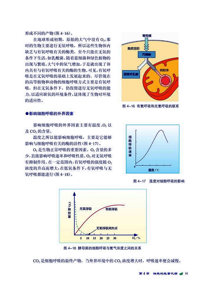 能量转换与释放(6)