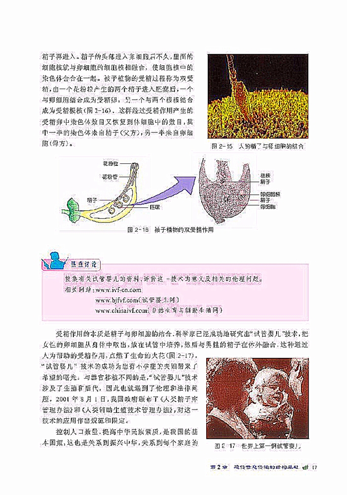 染色體是遺傳信息的載體(9)