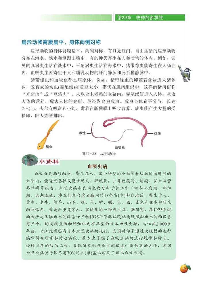 动物的主要类群(5)