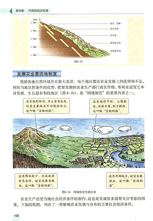 因地制宜发展农业(5)