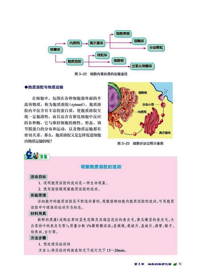 物质在细胞内的运转(4)