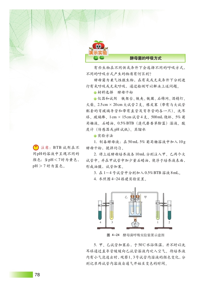 细胞的呼吸(2)