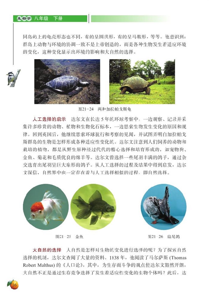 生物的进化(12)