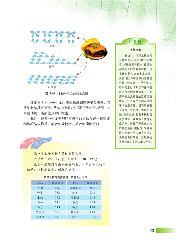 生物体中的有机化合物(4)