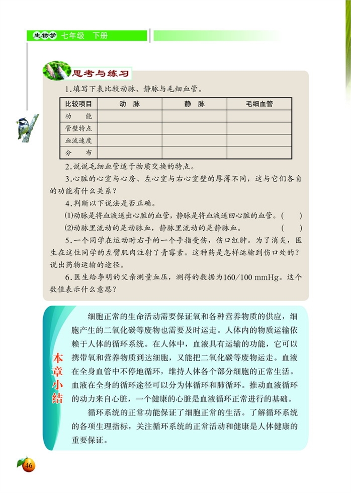 血液循环(14)