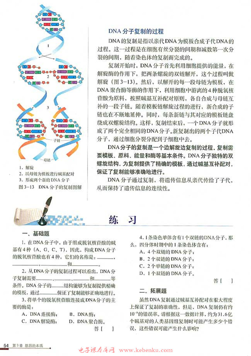 第3节 DNA的复制(3)