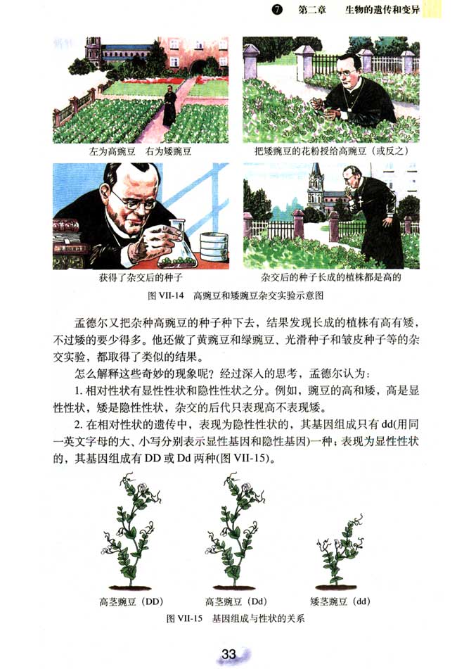 孟德尔的豌豆杂交实验