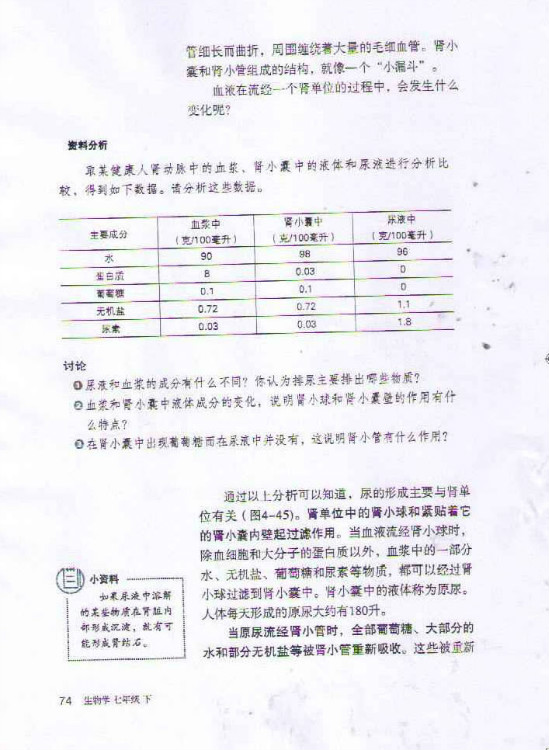 尿的形成和排出(2)