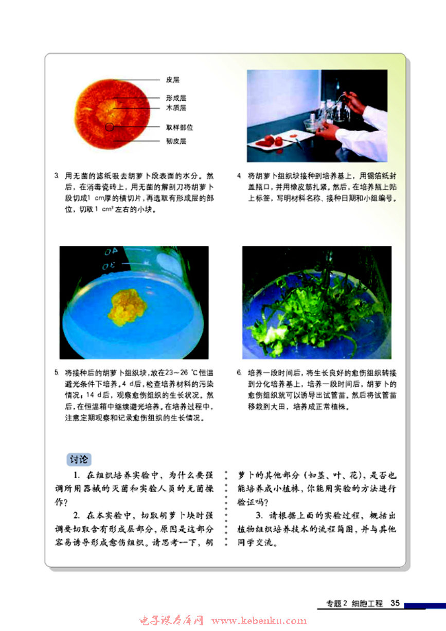 「2」.1 植物细胞工程(3)