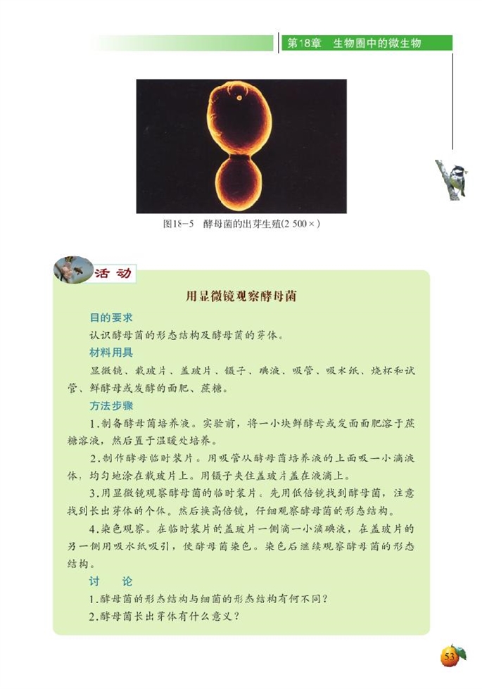 微生物在生物圈中的作用(6)