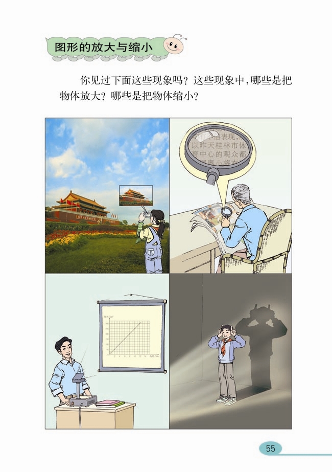 比例(24)