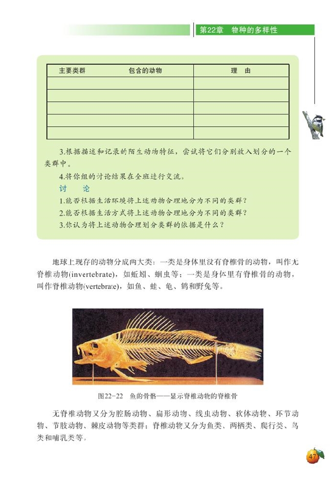 动物的主要类群(3)