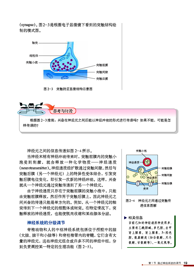 通过神经系统的调节(4)