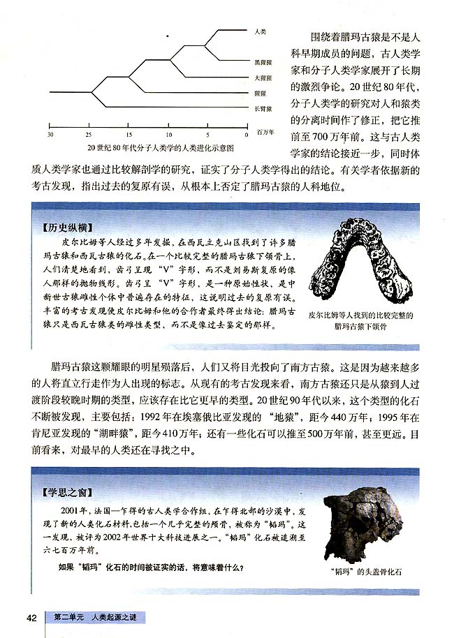 第3课 寻找人类的祖先(2)