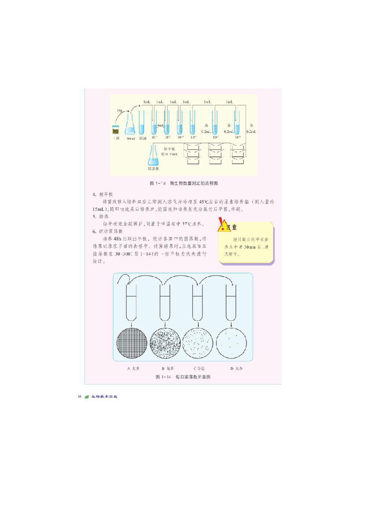 第3节微生物数量的测定 (3)