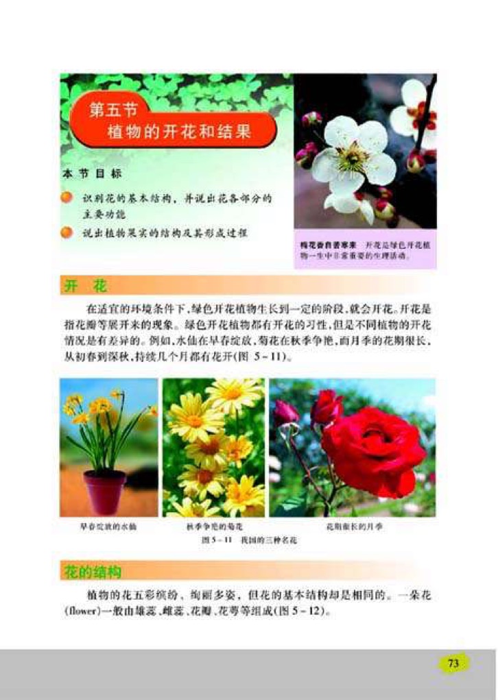 「5」、植物的开花和结果