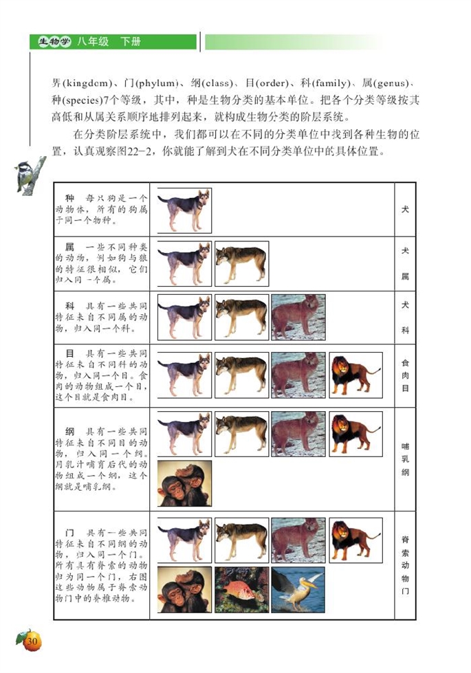 物种的多样性(4)