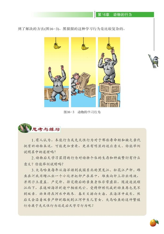 先天性行为和后天学习行为(6)