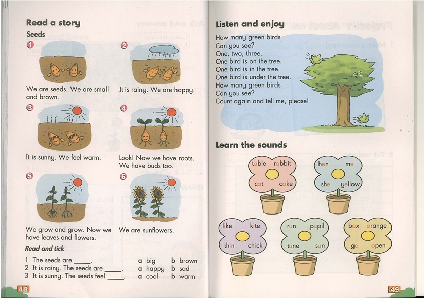 module 4 t…(6)