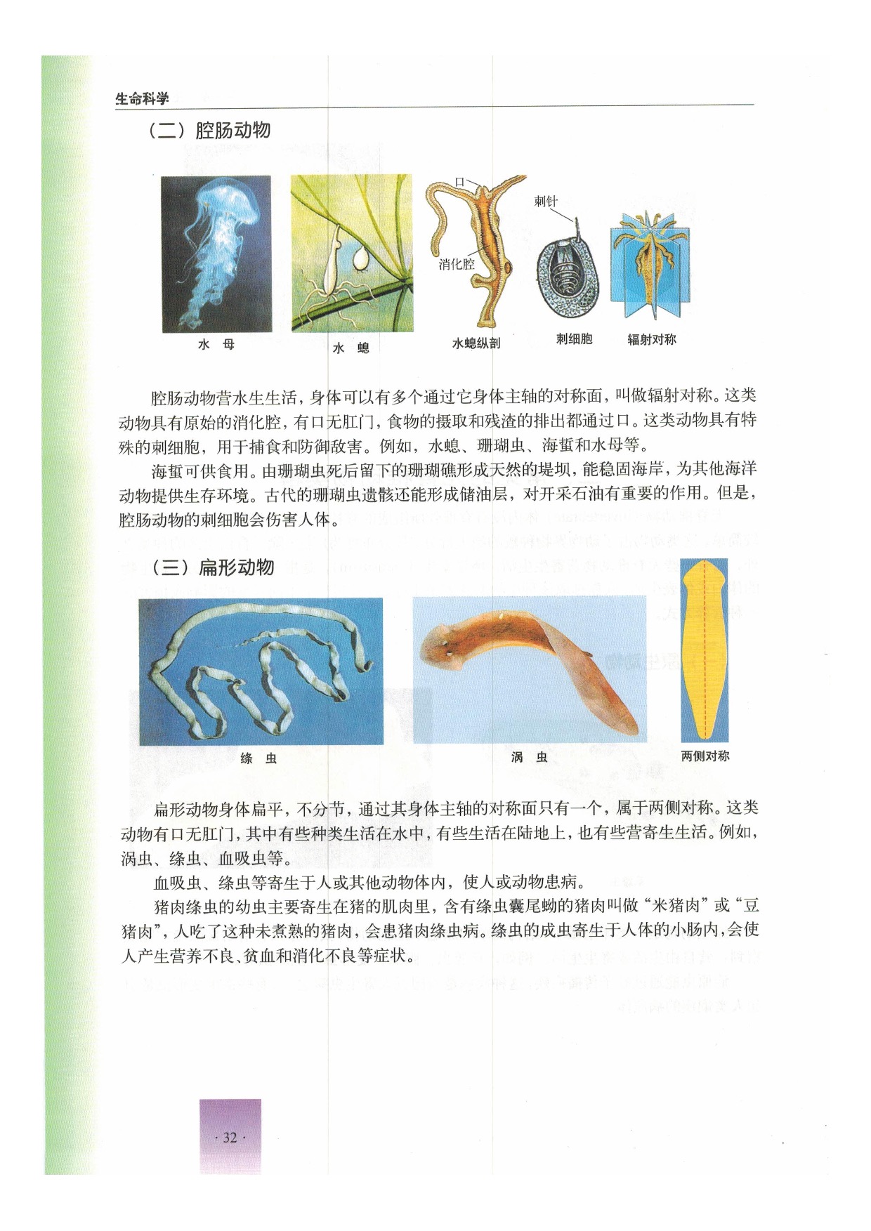 第二节 动物(13)