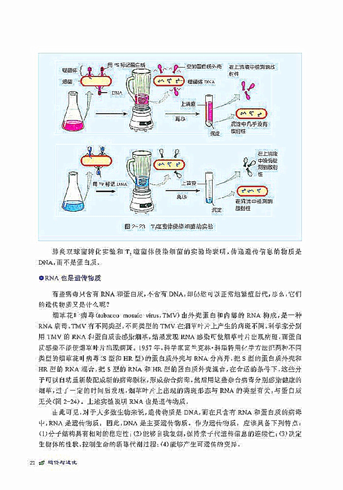 DNA贮存遗传信息(4)