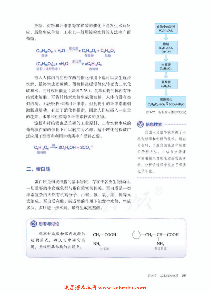 第四节 基本营养物质(3)