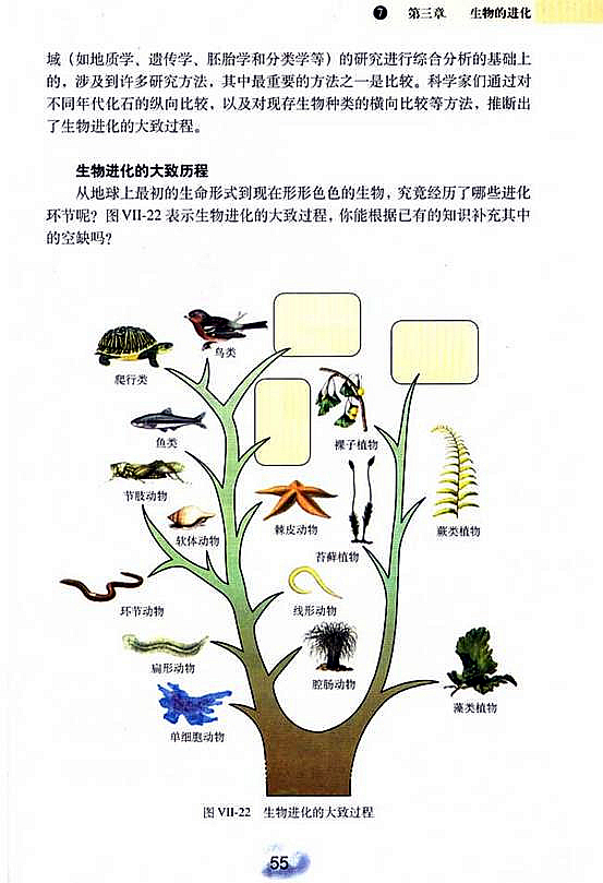 生物进化的历程(3)