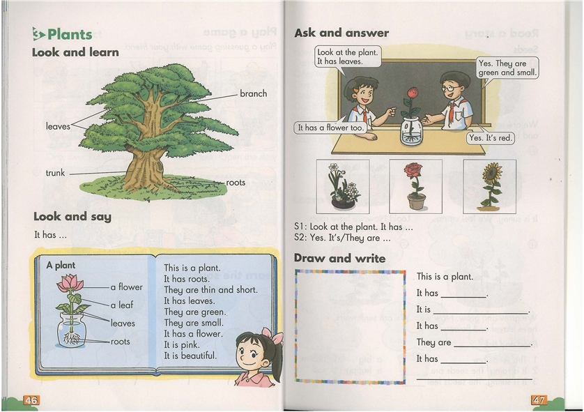 module 4 t…(5)