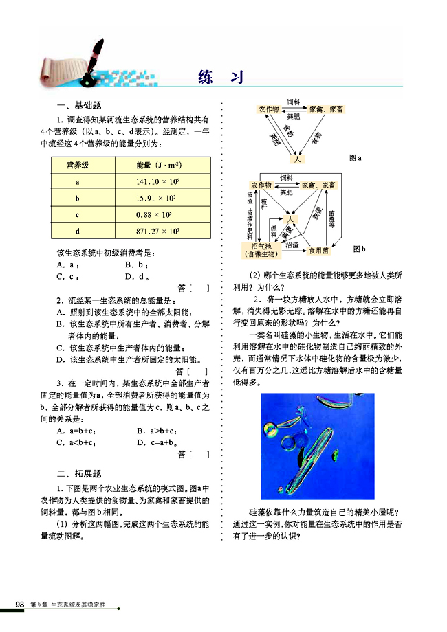 生态系统的能量流动(6)