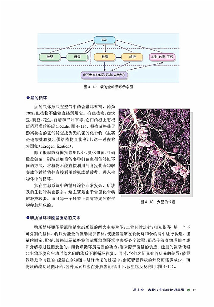 生态系统是一个相对稳定的系统(10)