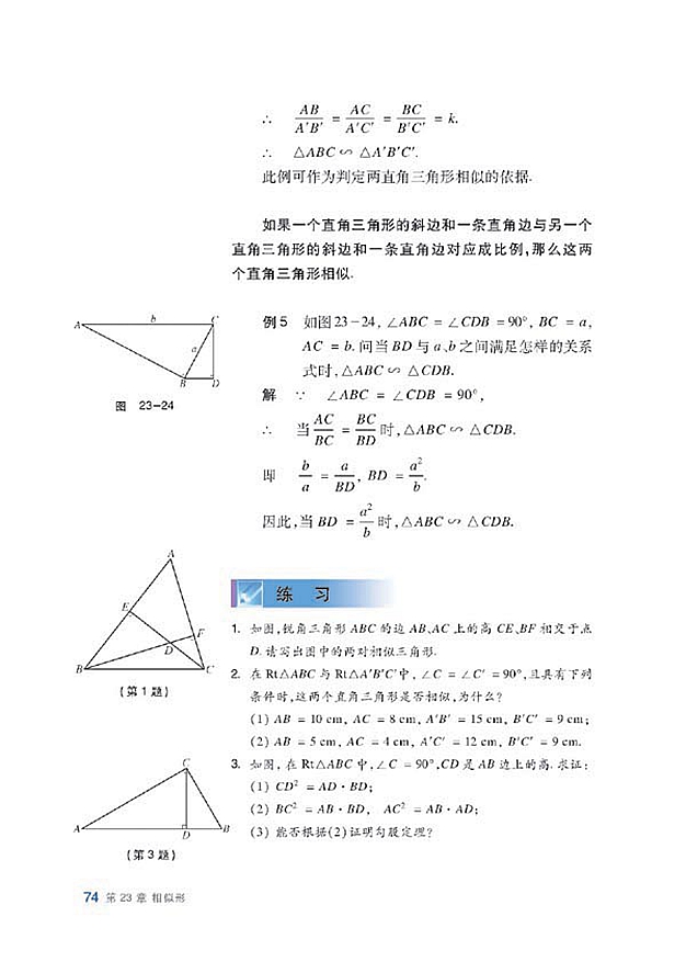 相似三角形的判定(8)