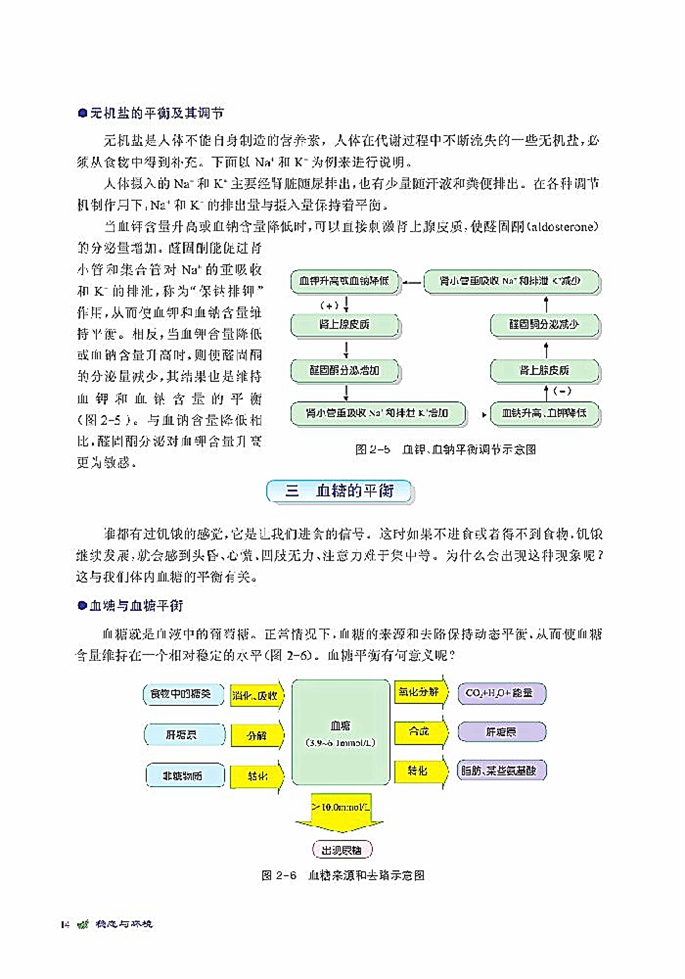 人体的代谢与稳态(5)