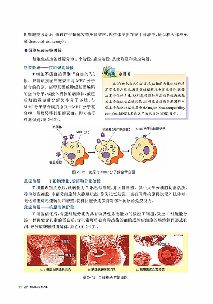 人体免疫与稳态(2)