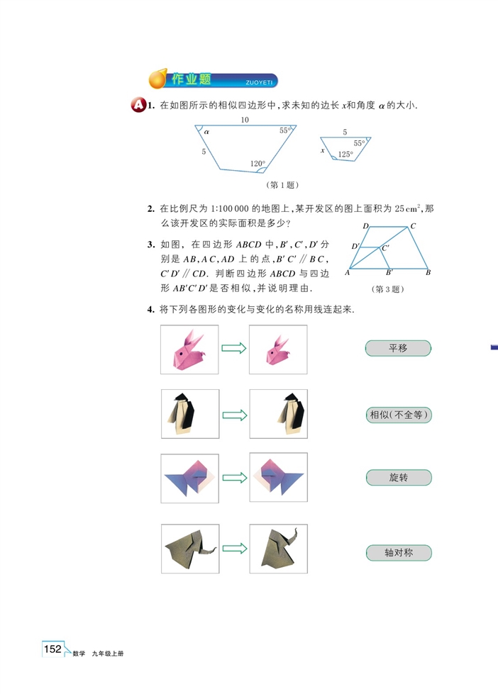 相似多边形(4)