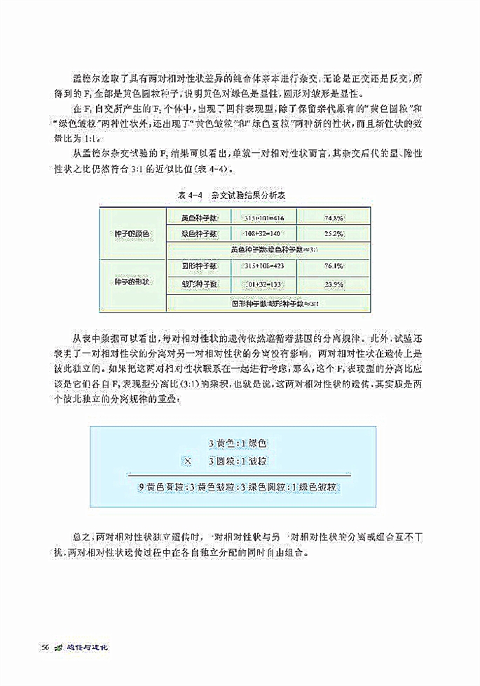 基因自由组合规律(2)