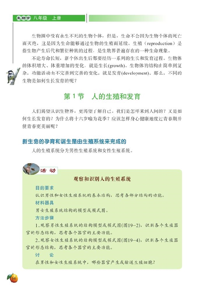 人的生殖和发育