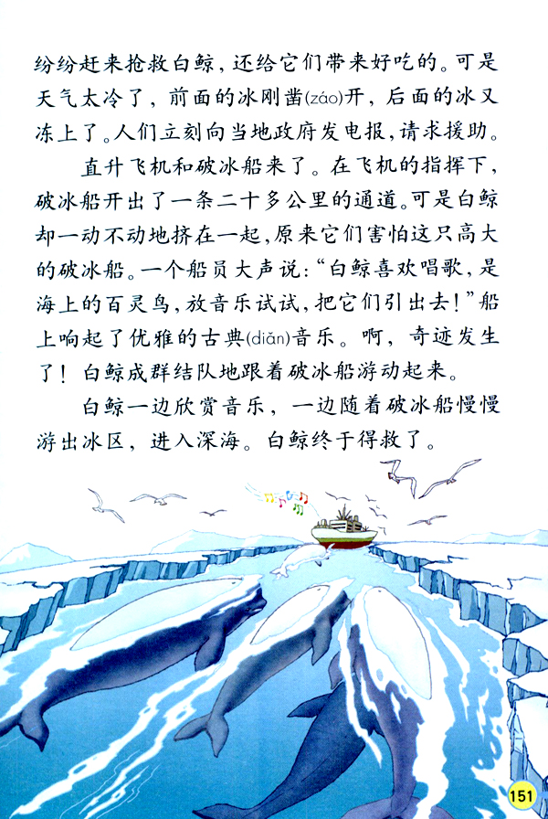 ⑦喜爱音乐的白鲸(2)