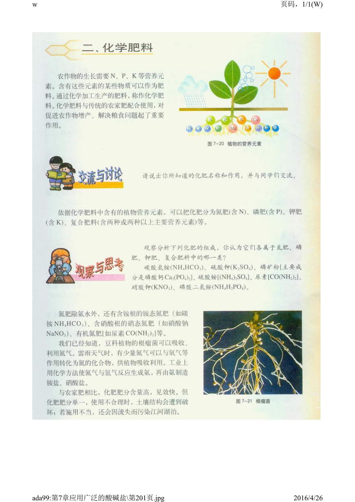 第四节 酸碱盐的应用(3)