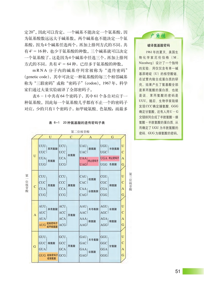 DNA复制和蛋白质合成(5)