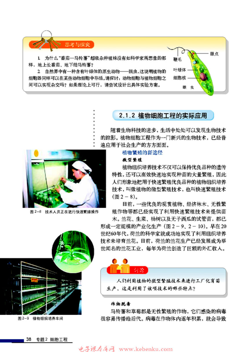 「2」.1 植物细胞工程(6)