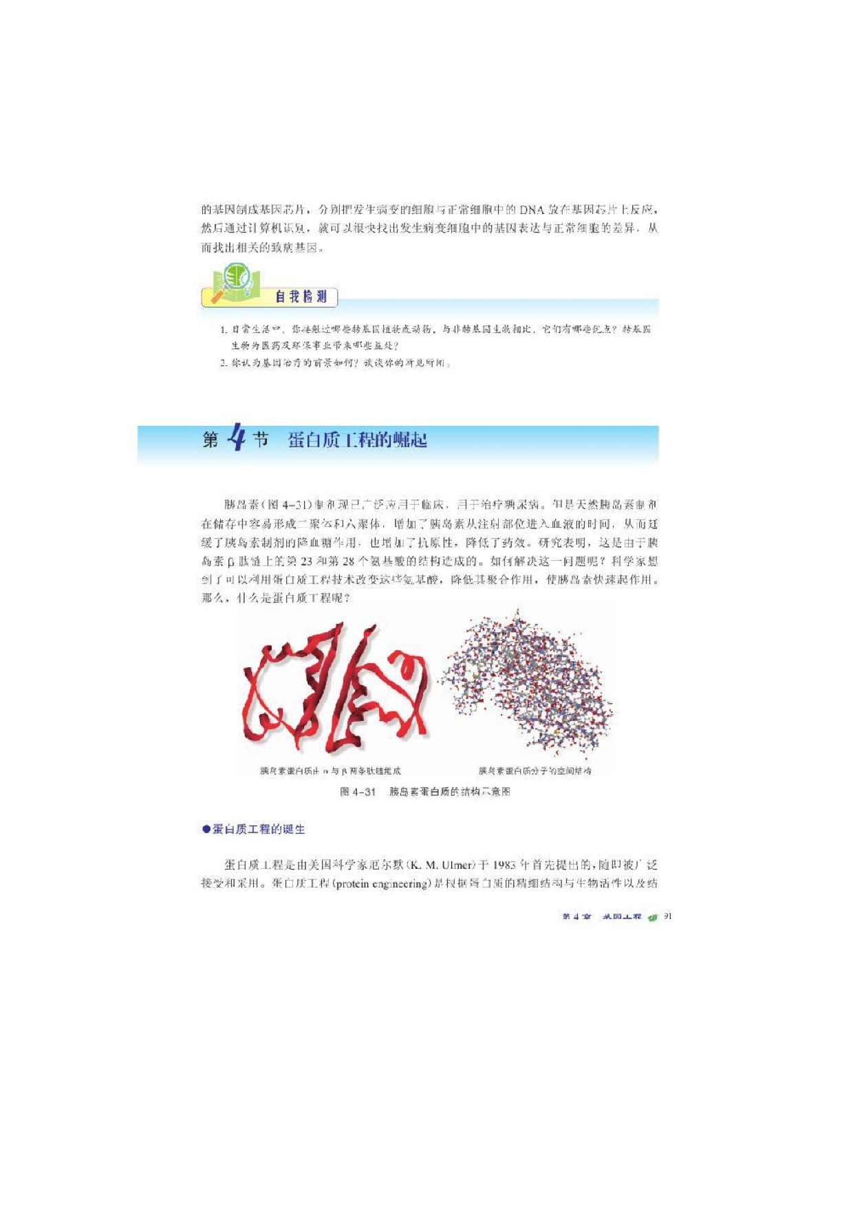 第四节蛋白质工程的崛起(2)