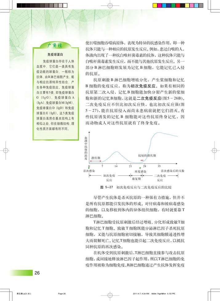 动物体的细胞识别和免疫(4)