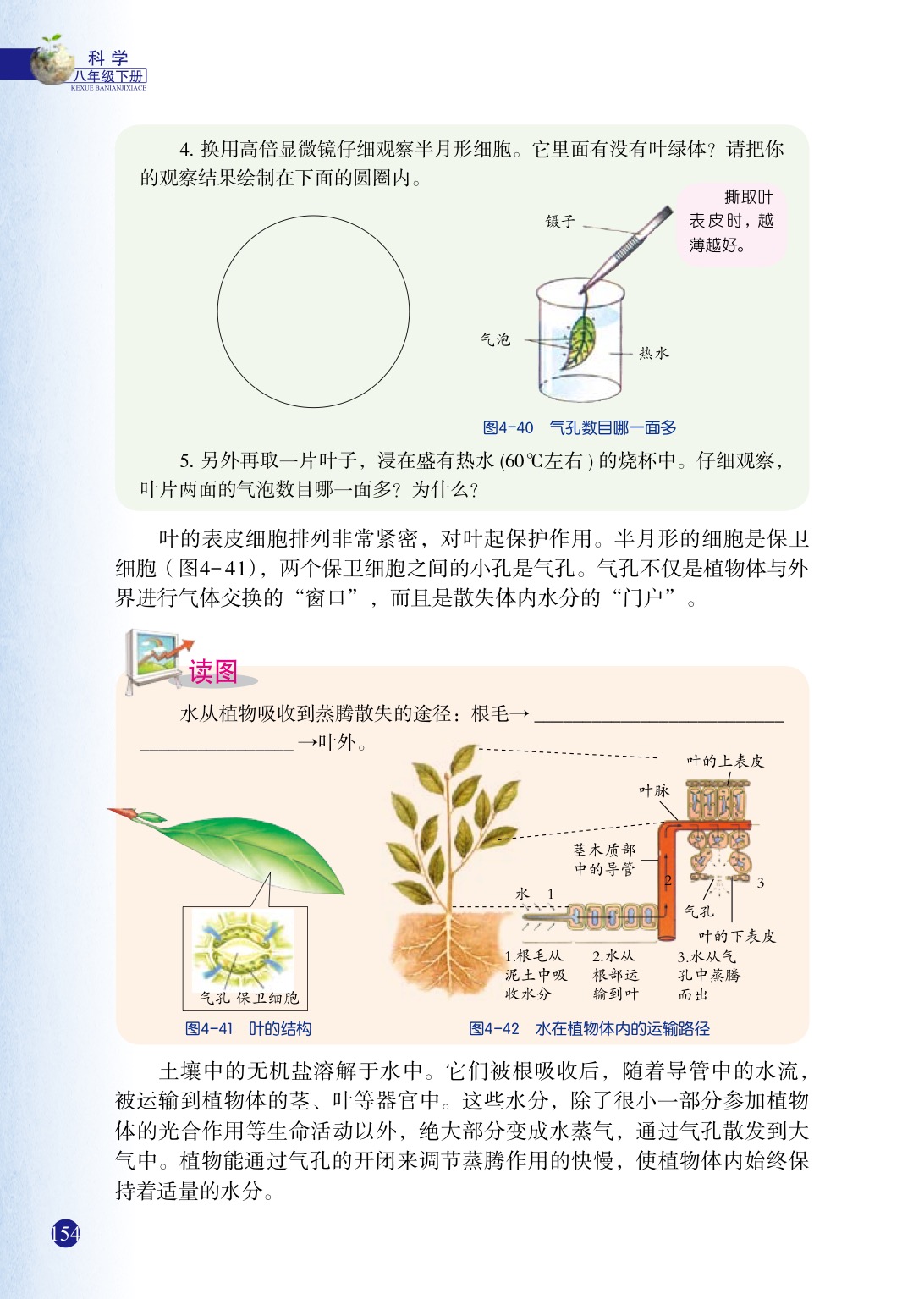 「5」 植物的叶与蒸腾作用(5)