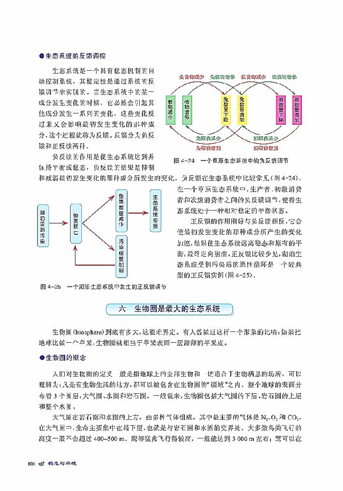 生态系统是一个相对稳定的系统(17)